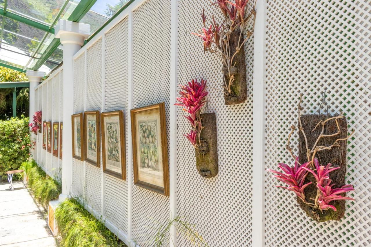 Locanda Della Mimosa Cascatinha Exteriér fotografie